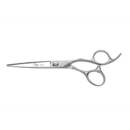 Cutting Scissors